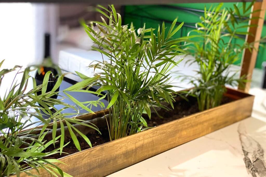 Green Apartment With View コモティニ エクステリア 写真